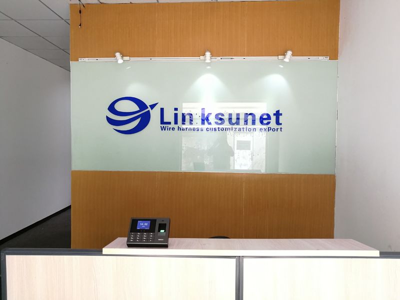 China Linksunet E.T Co; Limited company profile