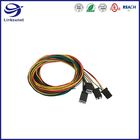 Electric Vehicle Wiring Harness with 20AWG AIT II Female Connector