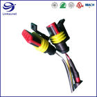 Automobile Wiring Harness with Superseal 6.0mm Female Socket connector